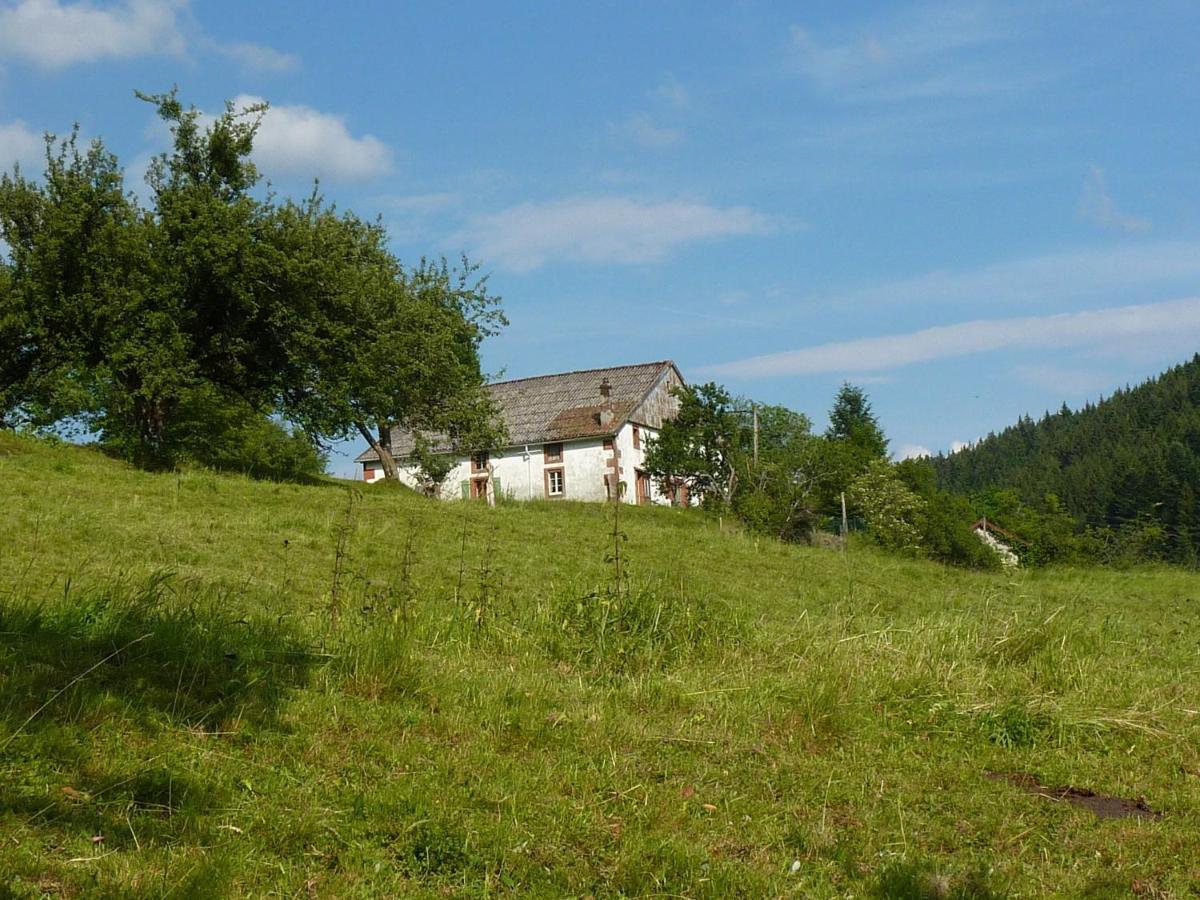 Charming Holiday Home Near The Ski Slopes Vagney Luaran gambar