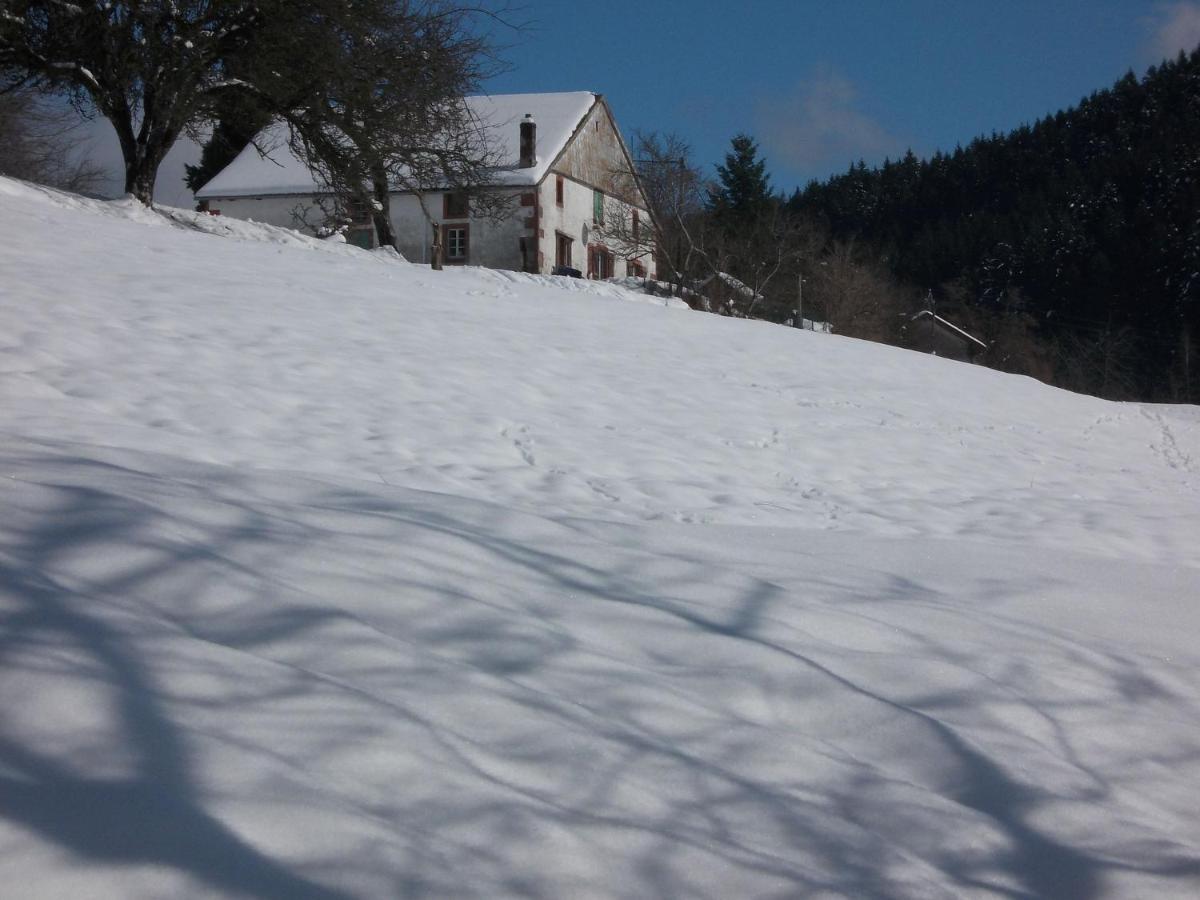 Charming Holiday Home Near The Ski Slopes Vagney Luaran gambar