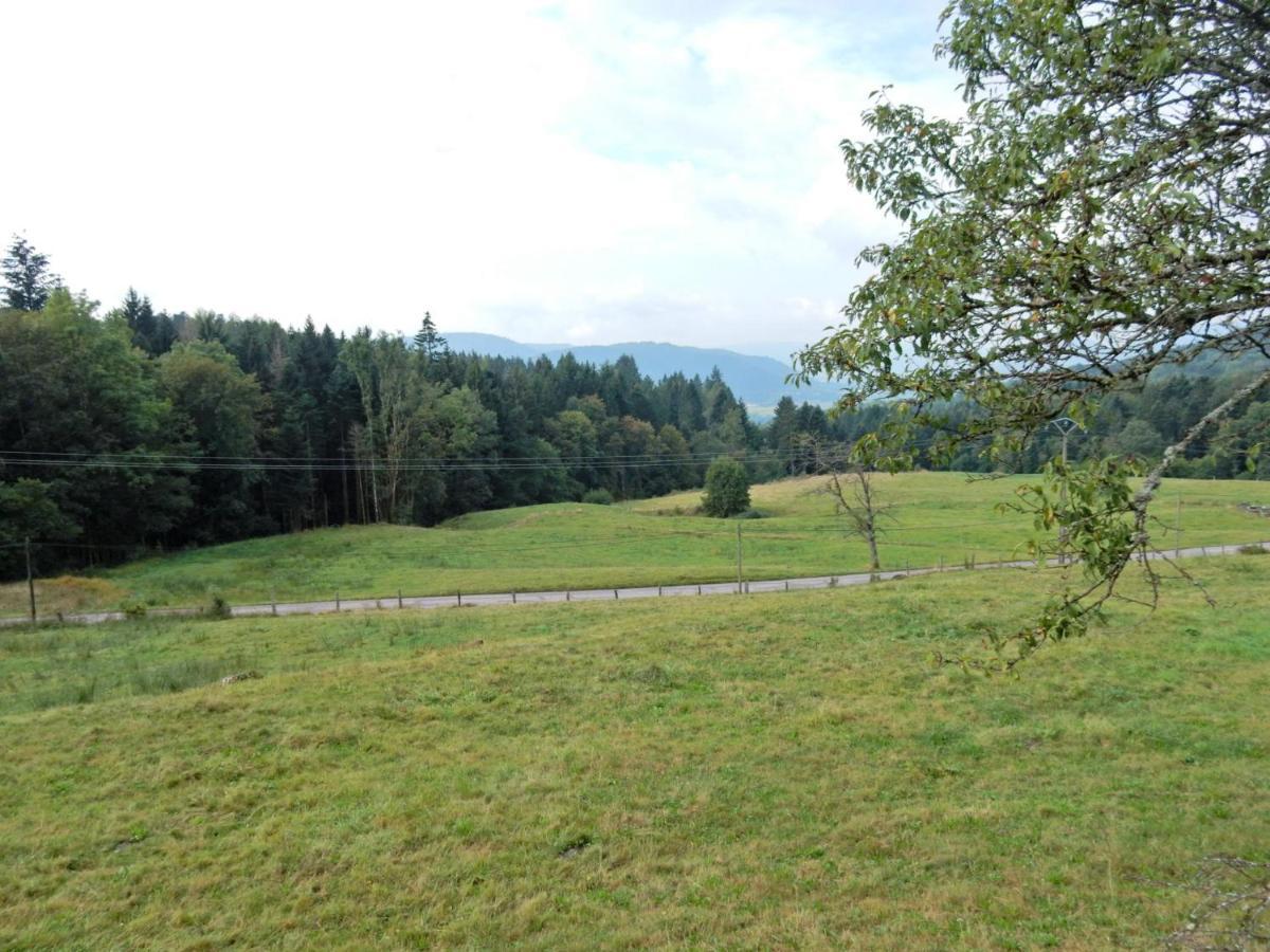 Charming Holiday Home Near The Ski Slopes Vagney Luaran gambar