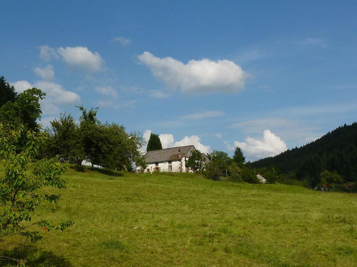 Charming Holiday Home Near The Ski Slopes Vagney Luaran gambar