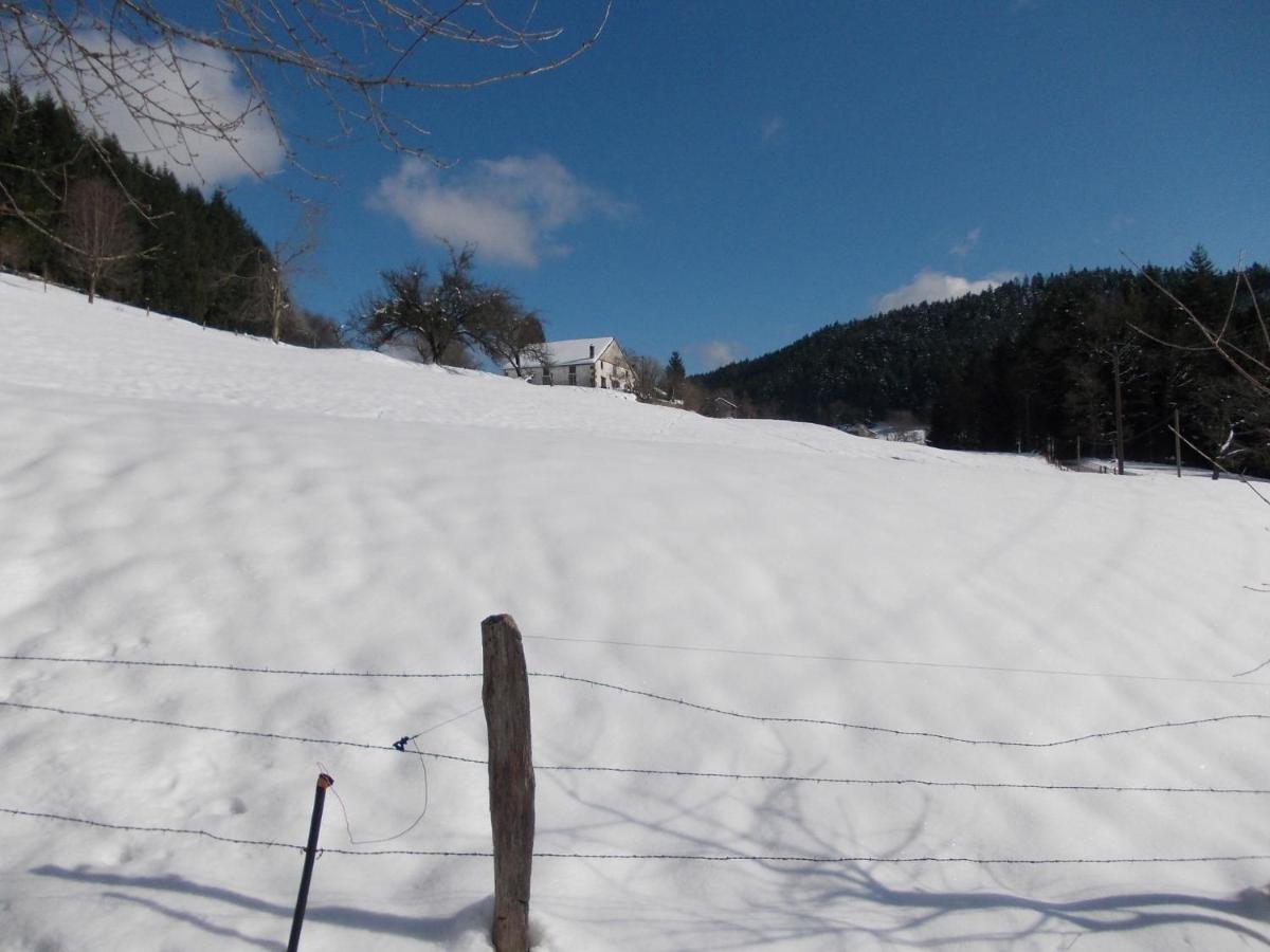 Charming Holiday Home Near The Ski Slopes Vagney Luaran gambar