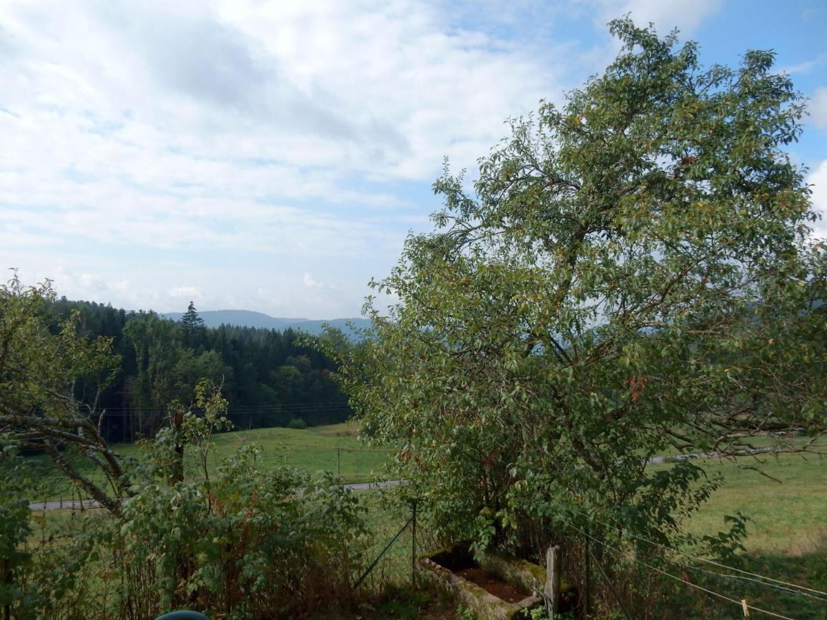 Charming Holiday Home Near The Ski Slopes Vagney Luaran gambar