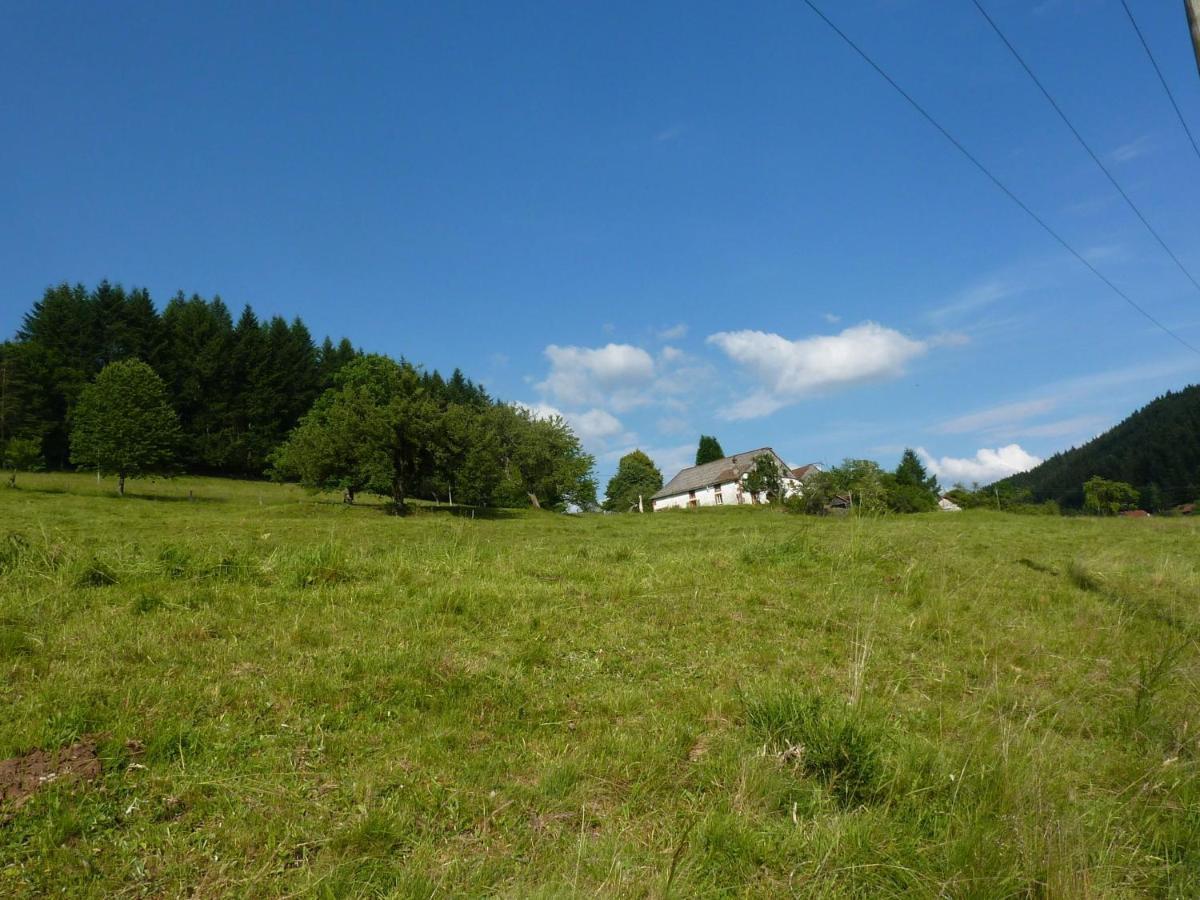 Charming Holiday Home Near The Ski Slopes Vagney Luaran gambar
