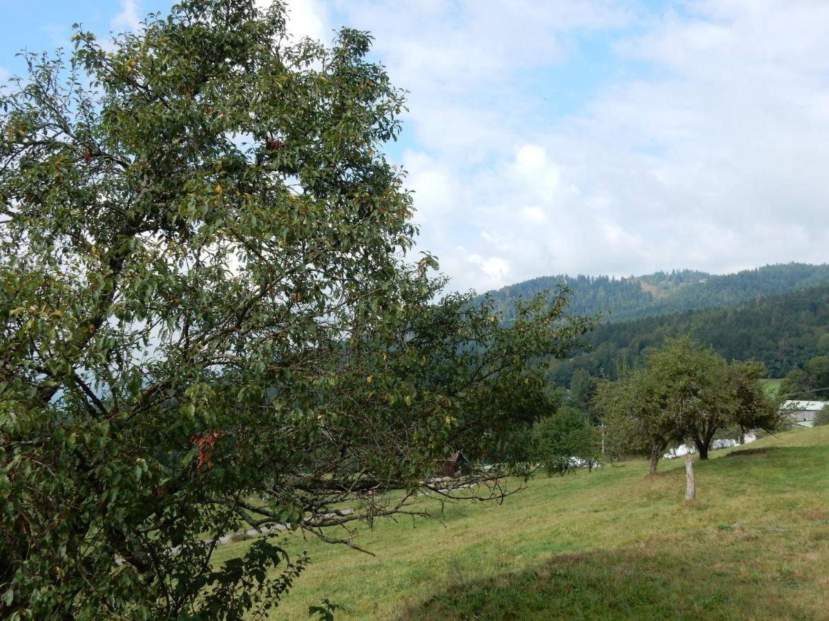 Charming Holiday Home Near The Ski Slopes Vagney Luaran gambar