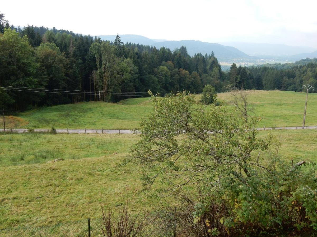 Charming Holiday Home Near The Ski Slopes Vagney Luaran gambar