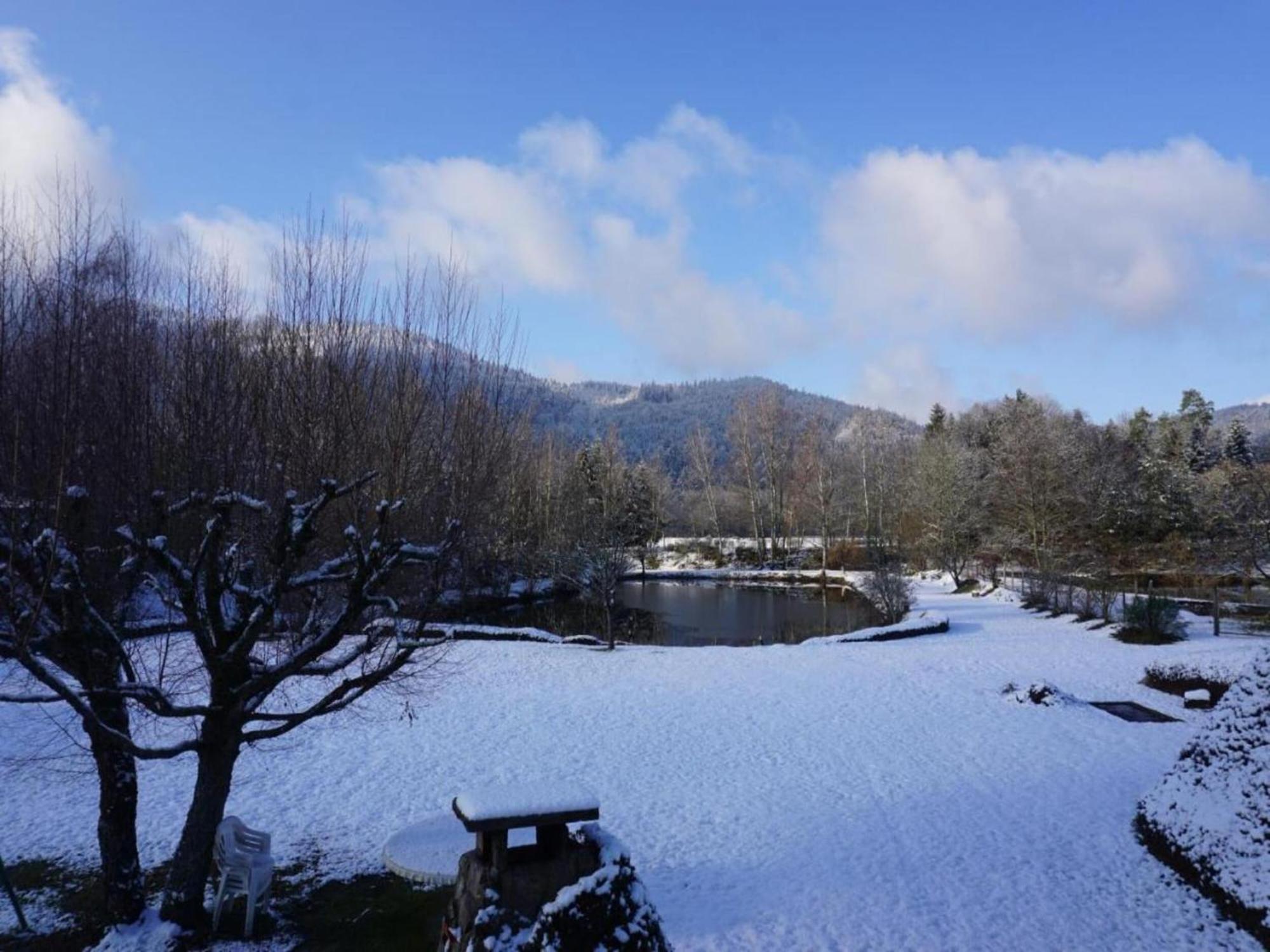Charming Holiday Home Near The Ski Slopes Vagney Luaran gambar